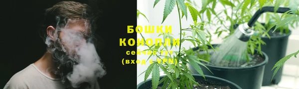 2c-b Абдулино