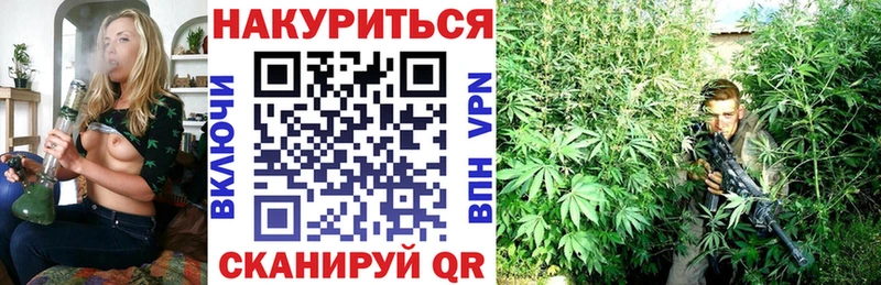 сайты даркнета официальный сайт Костерёво Бошки Шишки сатива продажа наркотиков